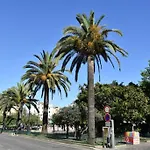Superbe En Plein Coeur D'ajaccio * Ajaccio (Corsica)