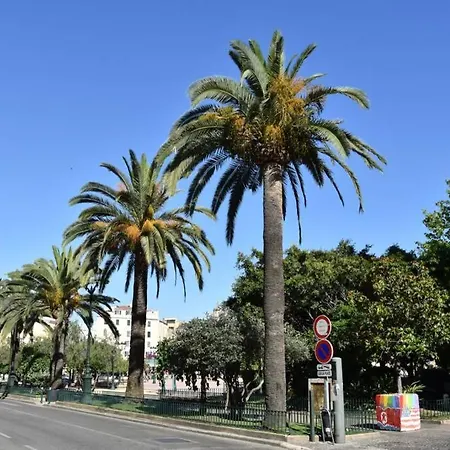 Superbe En Plein Coeur D'ajaccio * アジャクシオ
