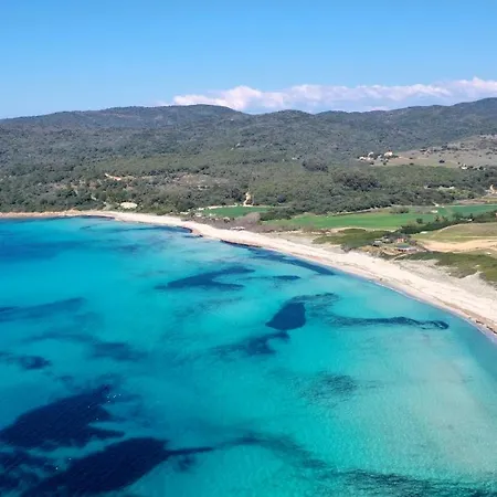 Superbe En Plein Coeur D'ajaccio アパート アジャクシオ